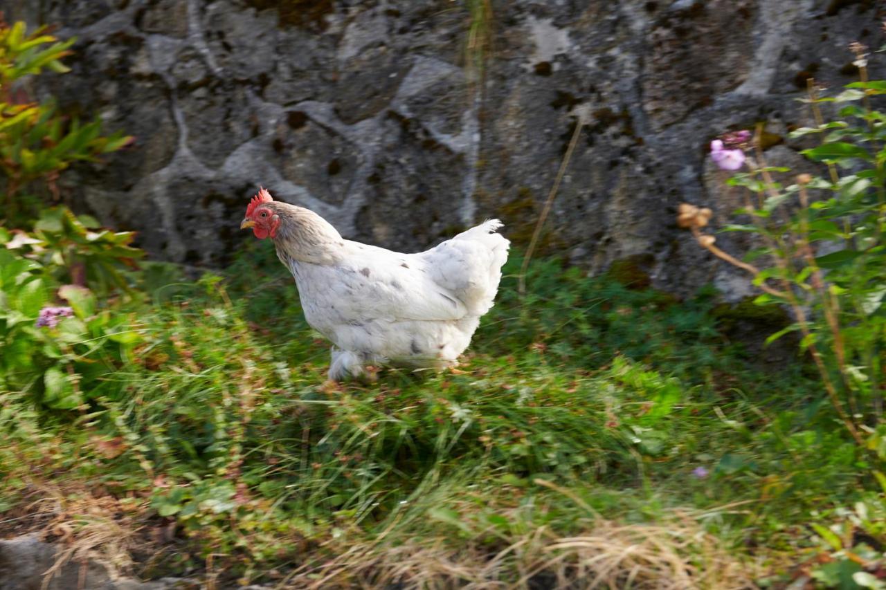 The Conscious Farmer Bed And Breakfast Sauerland Willingen  Exterior foto