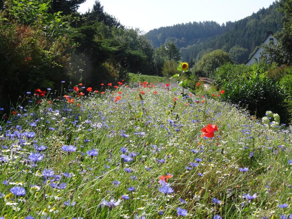 The Conscious Farmer Bed And Breakfast Sauerland Willingen  Exterior foto