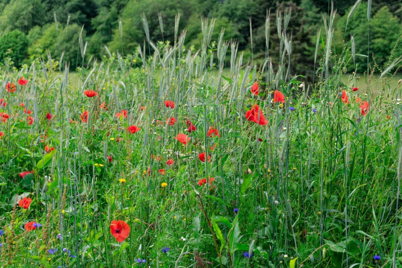 The Conscious Farmer Bed And Breakfast Sauerland Willingen  Exterior foto